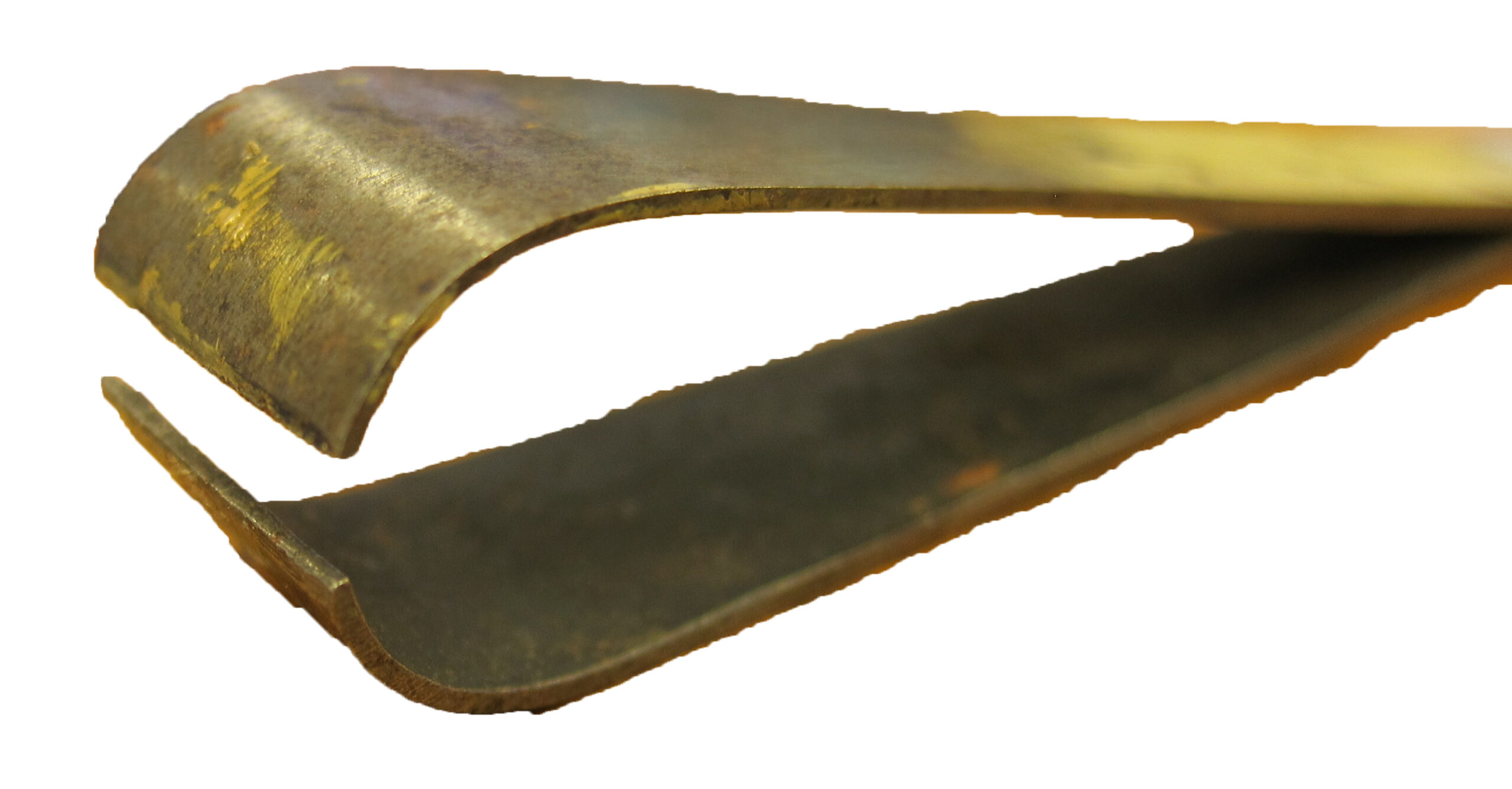Toenails vs Fingernails