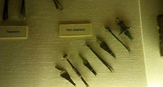 Toenails vs Fingernails