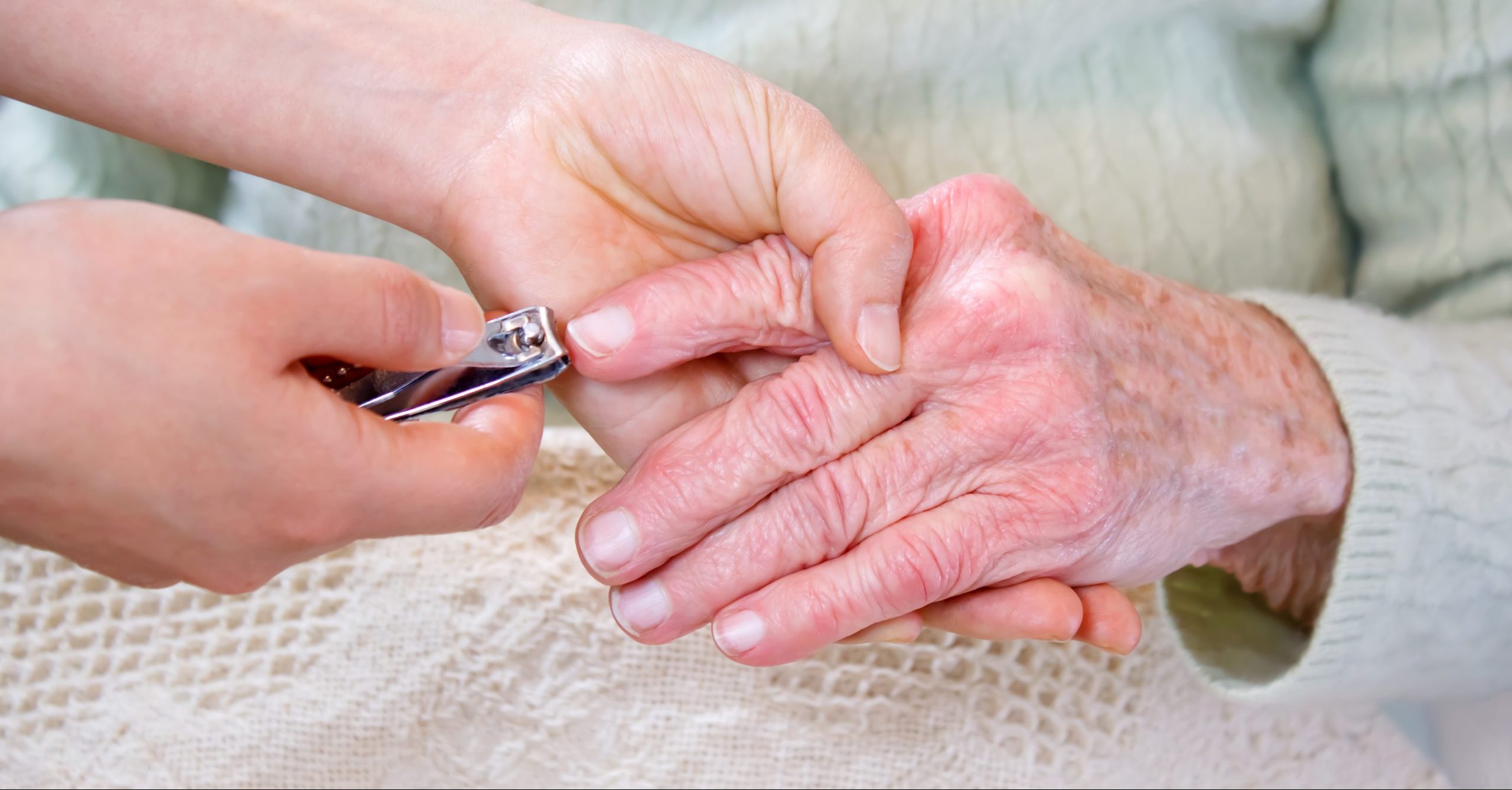 Best Nail clippers for seniors